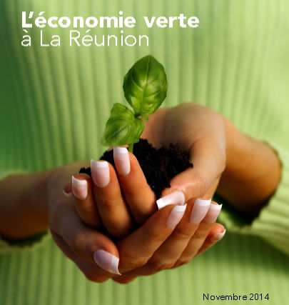 économie verte réunionaise