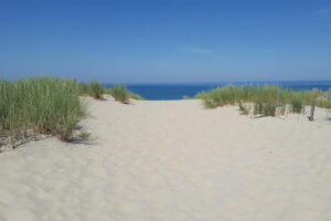 formation éco-ingénierie du littoral