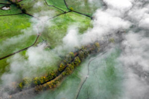 master bioterre biodiversité territoire