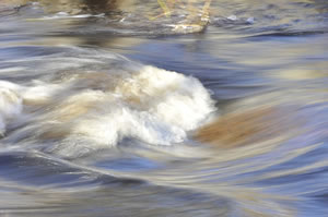 chargé de mission eau milieux aquatiques