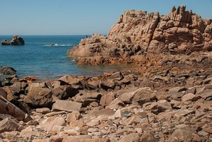 Formation environnement littoral en Bretagne