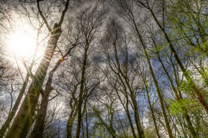 formation en psychologie sociale et environnement