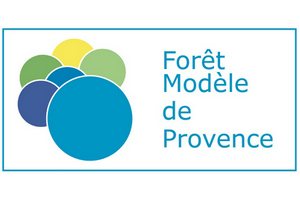 recrutements forêt modèle de Provence