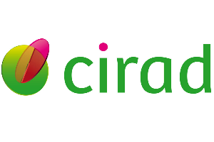 recrutements au Cirad