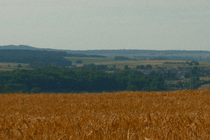 association aux sources du parc