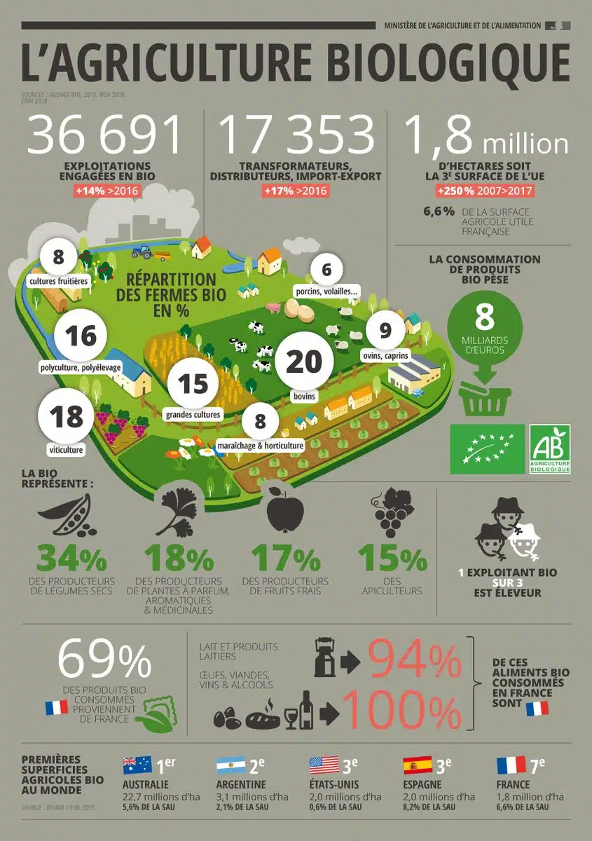 infographie emploi en agriculture biologique