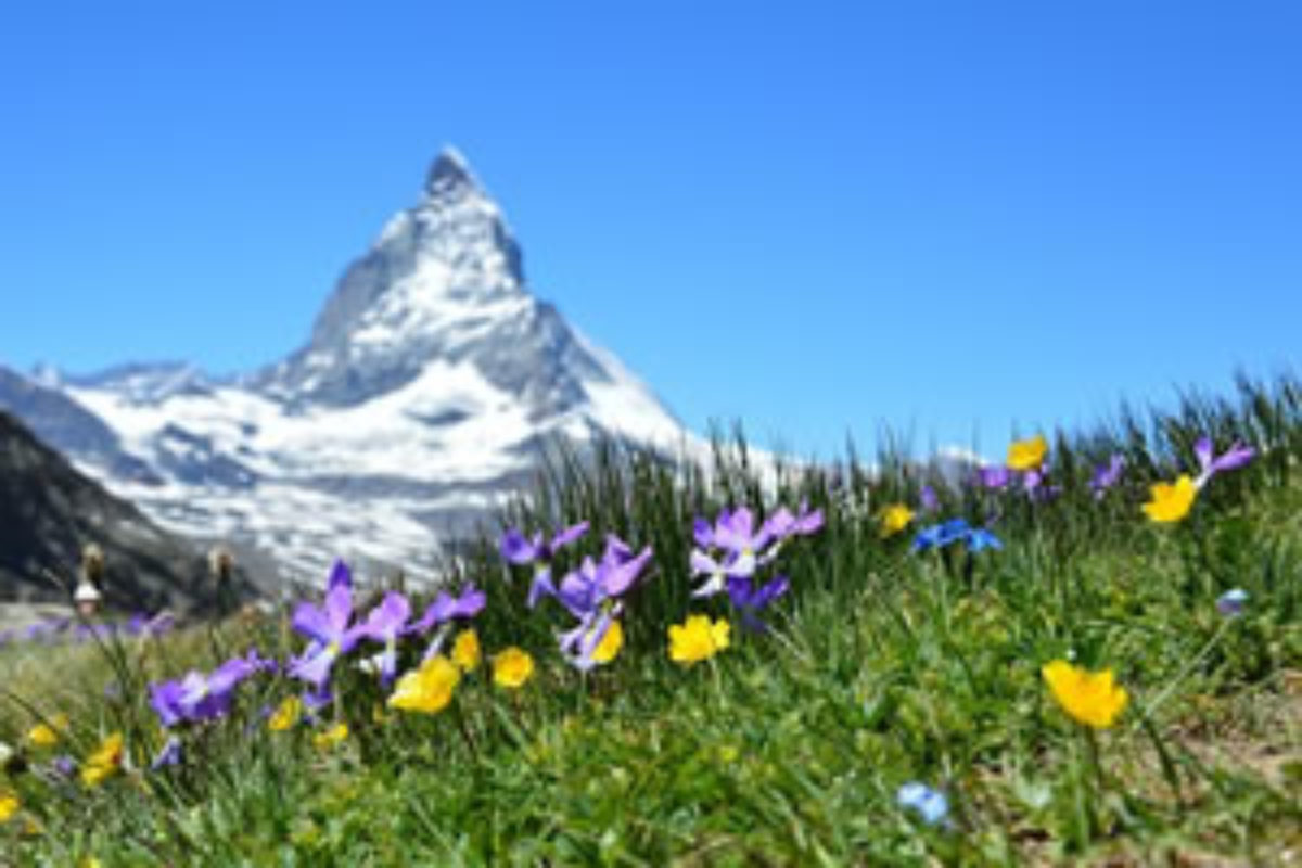 Sites Internet Pour Trouver Un Emploi En Environnement En Suisse