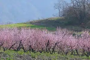 Licence pro transition agro-écologique