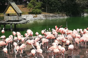 Travailler dans un zoo