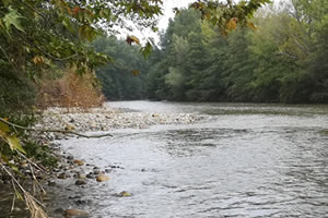 metier hydrobiologiste rivière