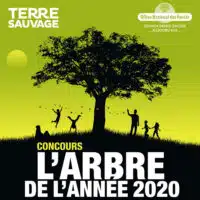 concours arbre de l'année