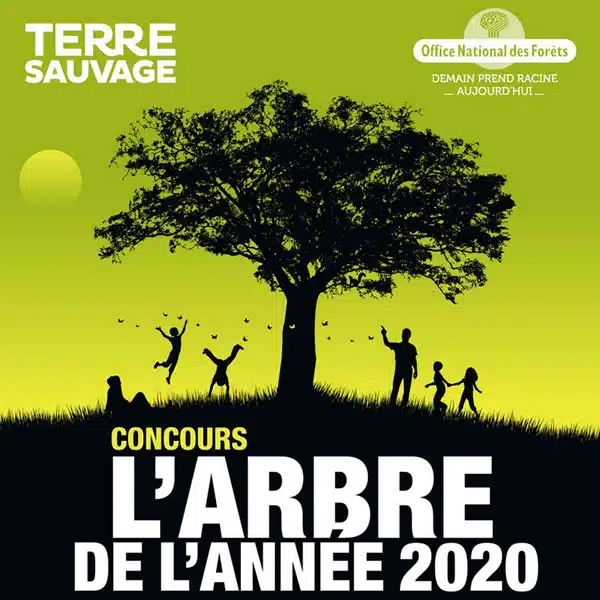 concours arbre de l'année