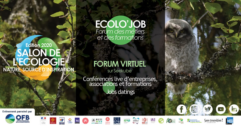 forum ecolojob emploi formation