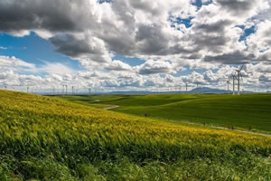 Ingénierie et management de l'environnement