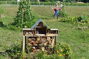 permaculture