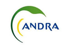 andra recrutements