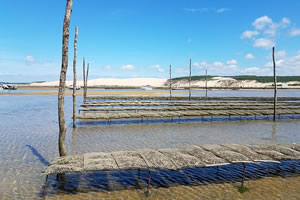 emploi aquaculture conchyliculture