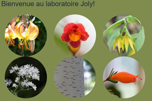 laboratoire Joly Montréal Canada