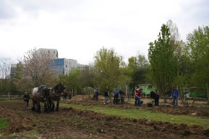 la ferme du bonheur