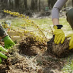 bénévoles environnement