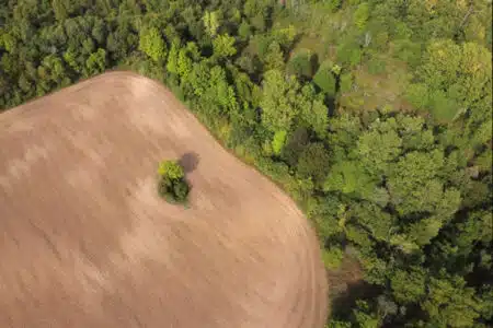 champ forêt agronomie