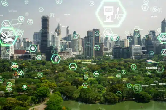 économie du développement durable