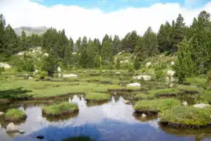 formation aux environnements montagnards