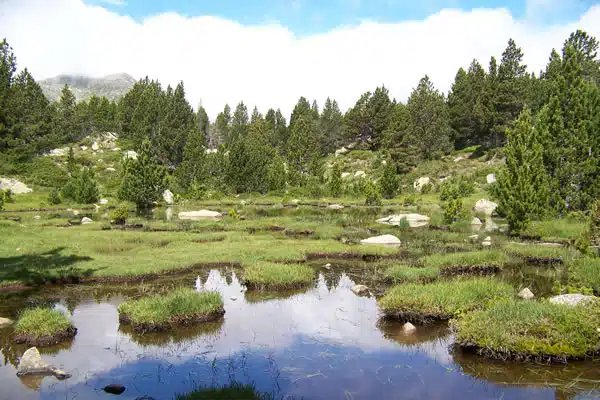 formation aux environnements montagnards