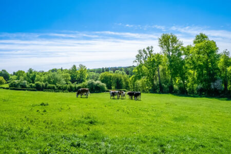 formation valorisation des territoires ruraux