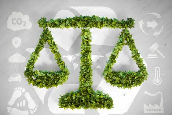 master environnement et droit