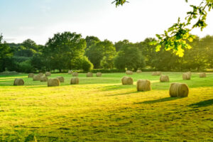 formation agro-bachelor à Toulouse