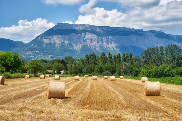 paysage rural dans le Rhône