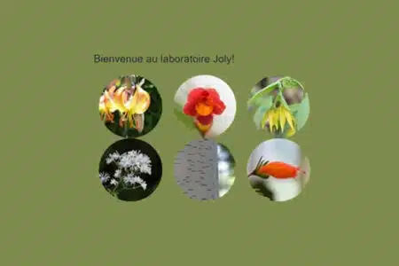 laboratoire Joly Montréal Canada