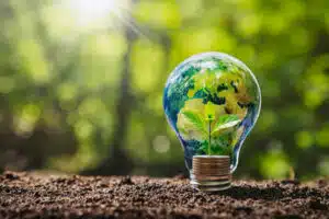 master économie et développement durable