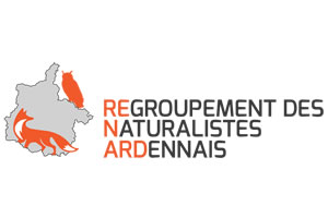 Renard naturalistes ardennes