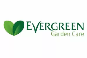 evergreen garden care