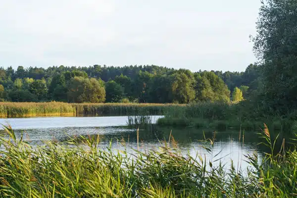 formation eaux milieux aquatiques