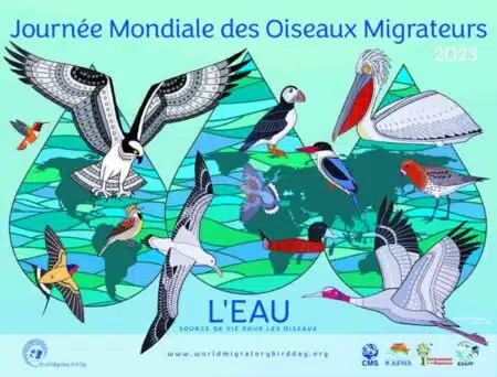 Journée mondiale des oiseaux migrateurs