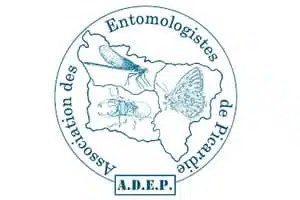 ADEP entomologistes de Picardie