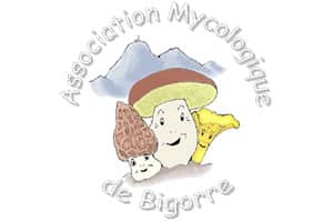 AMB association mycologique de Bigorre