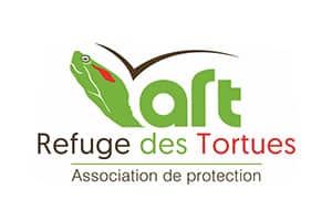 art refuge de tortues