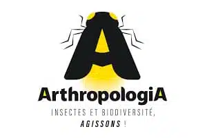 arthropologia protection des insectes