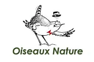 association oiseaux nature