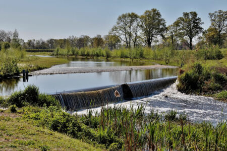 formation d'ouvrier du génie écologique