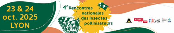 bannière insectes pollinisateurs