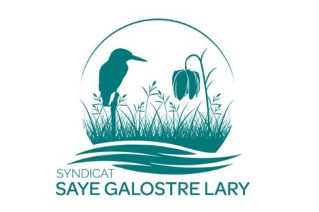 Saye Galostre Lary