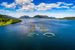 fermes halieutiques en Norvège