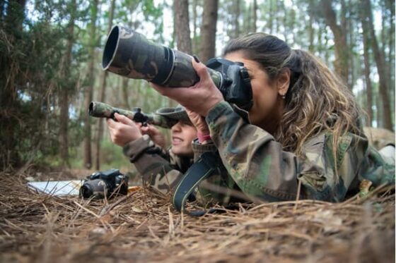 photographe animalier professionnel