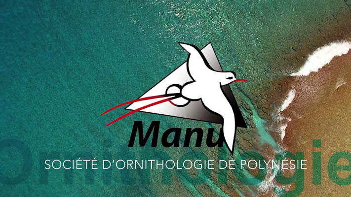 Chargé de mission Monarque de Fatu Hiva H/F 4 Société d'Ornithologie de Polynésie