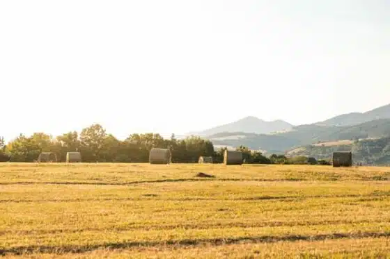 champs dans les espaces naturels ruraux